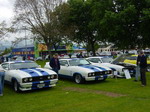 Cobra's from NZ