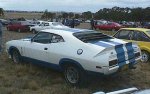 Falcon Cobra - rear view passenger side