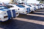 Falcon Cobras - on show in a row