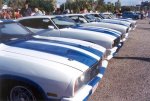 Falcon Cobra - on show in a row