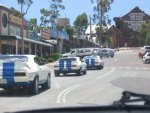 Falcon Cobra Club of  QLD AGM