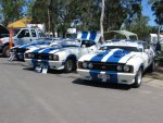 Triple 8 All Ford Day QLD