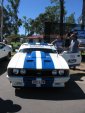 Triple 8 All Ford Day QLD