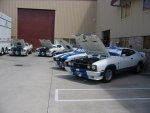 Cobras on show at Stone Brothers Racing Gala Day at Yatala, QLD