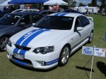 Falcon BA GT in Cobra Stripes